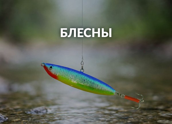 Блесны
