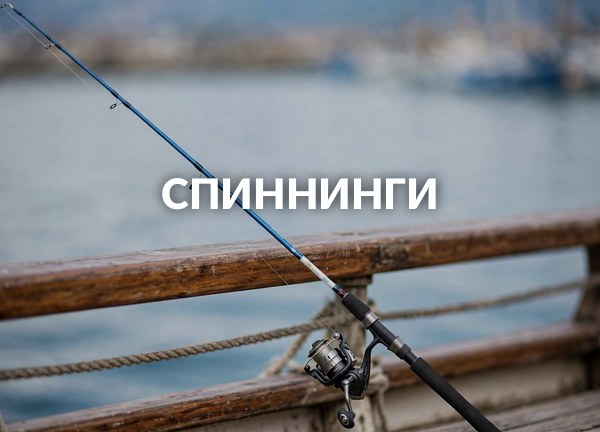 Спиннинги