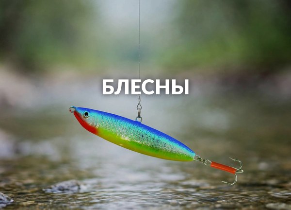 Блесны