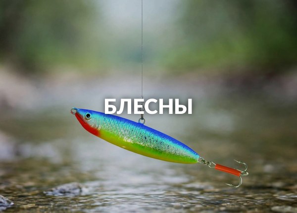 Блесны