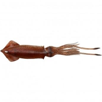 Squid jig outlet