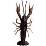 Приманка SAVAGE GEAR LB 3D Crayfish 8cm 4g F 4pcs Black Brown 47103